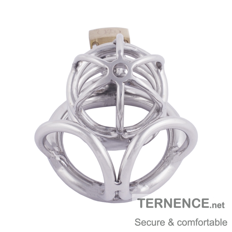 TERNENCE Male Chastity Device Stainless Steel Cock Cage Penis Ring with Padlock for Adult Game Sex Toy