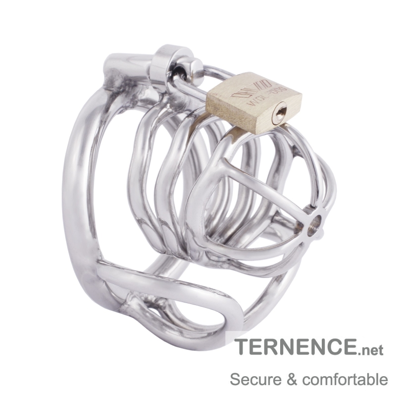 TERNENCE Male Chastity Device Stainless Steel Cock Cage Penis Ring with Padlock for Adult Game Sex Toy