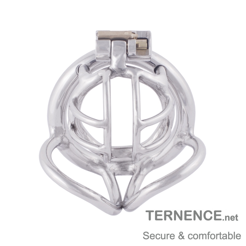 TERNENCE Cock Cage Male Chastity Locked Ergonomic Design Small Cage Sex Toy for Men