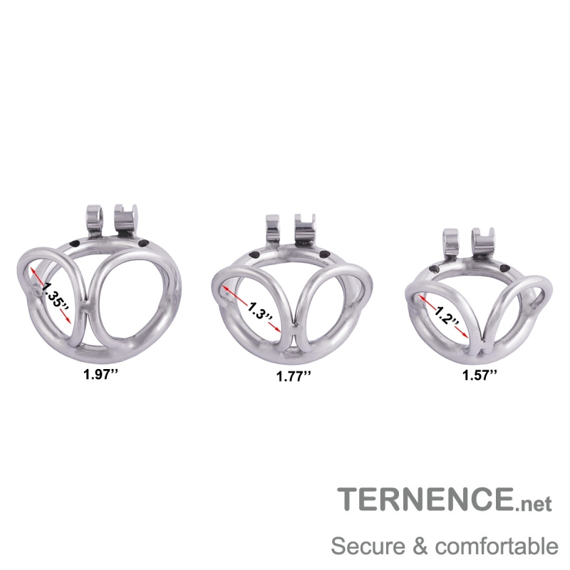 TERNENCE Cock Cage Male Chastity Locked Ergonomic Design Small Cage Sex Toy for Men