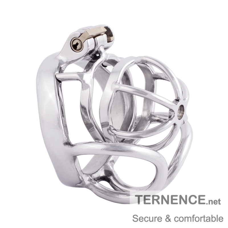 TERNENCE Male Cock Cage Chastity Device Stainless Steel Comfortable Ergonomic Design Closed Ring Cock Cage Adult Game Sex Toy