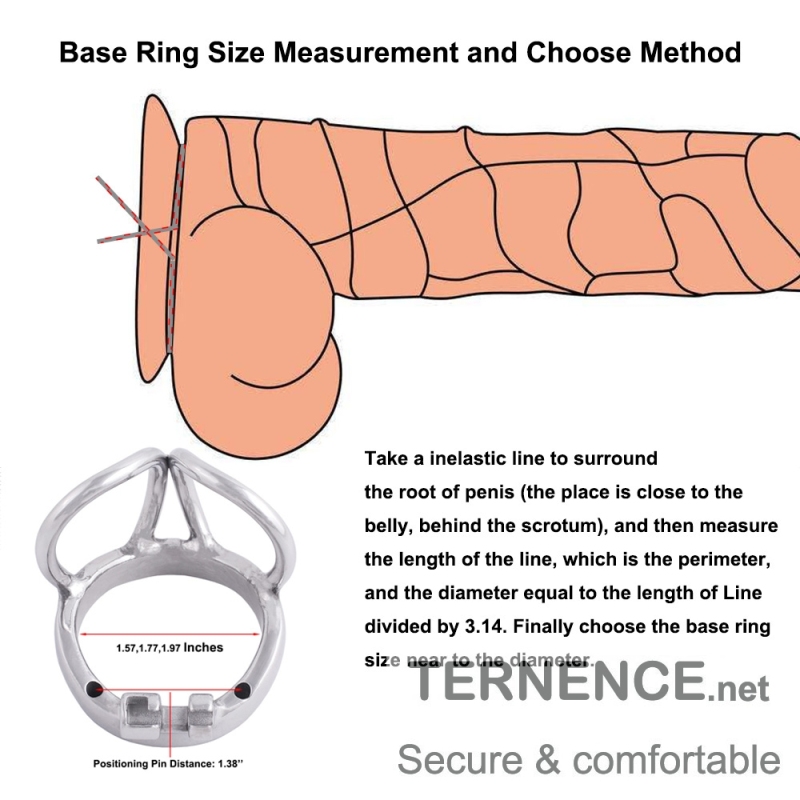 TERNENCE Male Chastity Device Base Ring Ergonomic Design Stainless Steel Cock Cage Closed Ring with Scrotal Splitter