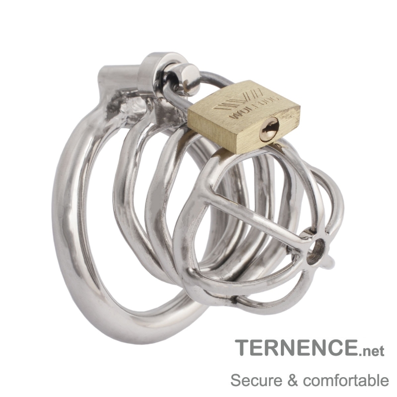 TERNENCE Male Chastity Device Hypoallergenic Stainless Steel Cock Cage Penis Ring Virginity Lock Chastity Belt with Padlock for Adult Game Sex Toy