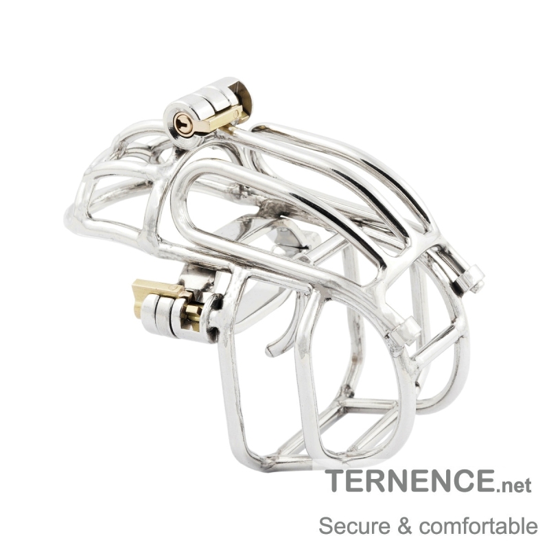 TERNENCE Male Chastity Device Stainless Steel Cock Cage Easy to Wear Male Virginity Lock Chastity Belt with PA Puncture