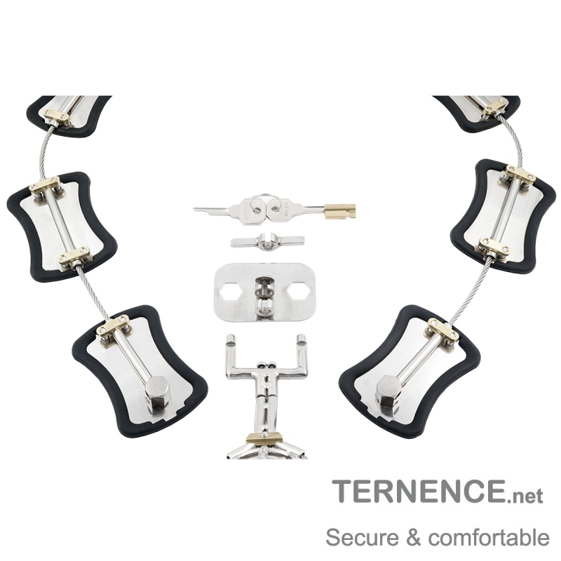 TERNENCE Metal Male Chastity Pants Stainless Steel Clip Cage Design Detachable Men's Virginity Lock T type Chastity Belt