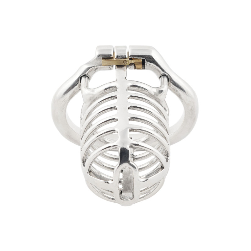 TERNENCE Long Size Men's Metal Chastity Device Ergonomic Design Hinged Ring Cock Cage Penis Lock for Hinged Ring (only cages do not include rings and locks)