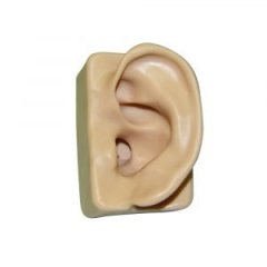 Silicone Ear Model (Left Ear)