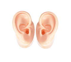 Silicone Ear Model for Hearing Aids and IEM Display Emulational Ears (one pair)