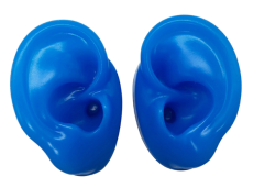Silicone Ear Model-Blue