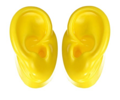 Silicone Ear Model-Yellow