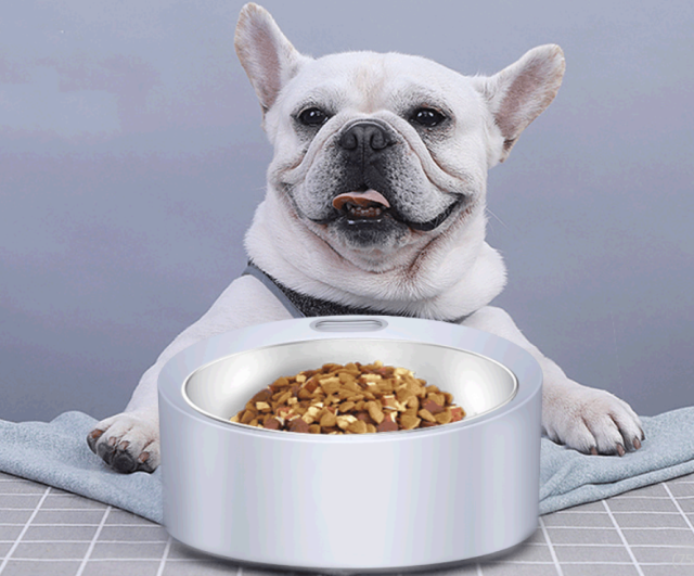 Smart Electronic Scale Pet Feeding Bowl Cat and Dog Food Scale Feeder Home Pet Feeding Scale Amazon Cross-Border