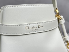 DIOR C'EST DIOR Medium Handbag