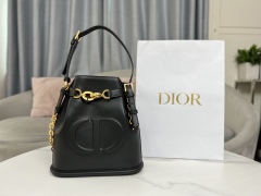 DIOR C'EST DIOR Medium Handbag