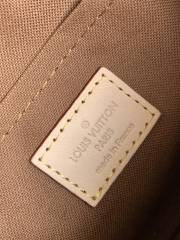 LV MULTI POCHETTE ACCESSOIRES Handbag