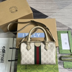 GUCCI Ophidia series GG mini handbag