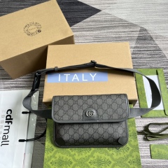 GUCCI Ophidia series GG small waist bag