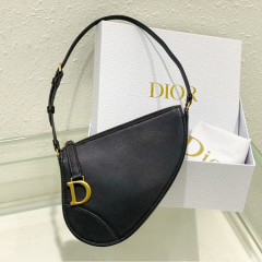 DIOR Saddle handbag