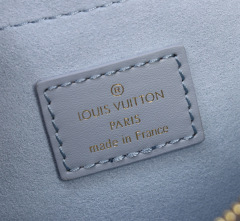 LV SPEEDY BANDOULIÈRE 20 Handbag