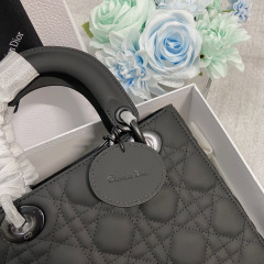Small Size Lady Dior My ABCDior Frosted cowhide Handbag 20CM