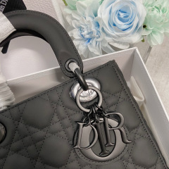 Small Size Lady Dior My ABCDior Frosted cowhide Handbag 20CM