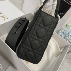 Small Size Lady Dior My ABCDior Frosted cowhide Handbag 20CM