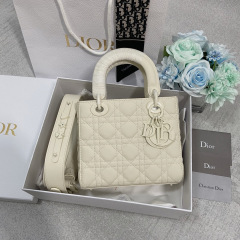 Small Size Lady Dior My ABCDior Frosted cowhide Handbag 20CM