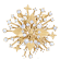 Brooches