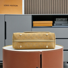 LV CARRYALL Small Handbag