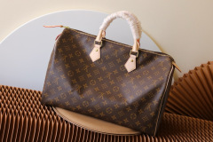 M41106 SPEEDY 40 handbag iconic Speedy