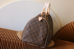 M41106 SPEEDY 40 handbag iconic Speedy