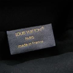 LV Slim Trunk Shoulder Bag