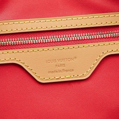 LV Speedy Soft 30 Crafty Handbag