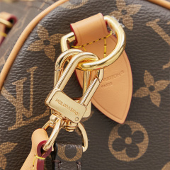 LV Speedy Soft 30 Crafty Handbag