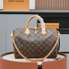 LV Speedy Soft 30 Crafty Handbag