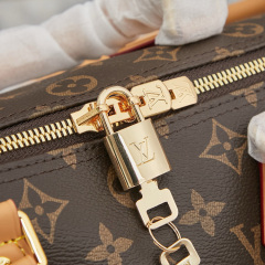LV Speedy Soft 30 Crafty Handbag