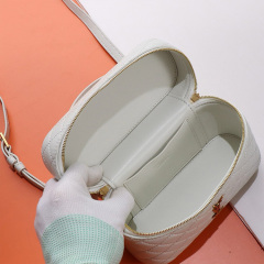 YSL GABY VANITY BAG IN LAMBSKIN