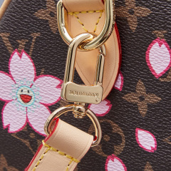 LV x TM Speedy Bandoulière 25 Bag