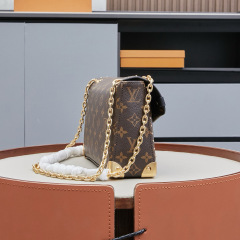 LV Trunkie bag