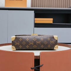 LV Trunkie bag