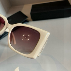 YSL Women's Fashion Sunglasses