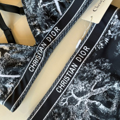 DIOR Swimsuit