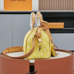 LV Speedy P9 Bandoulière 25 Handbag