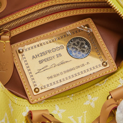 LV Speedy P9 Bandoulière 25 Handbag