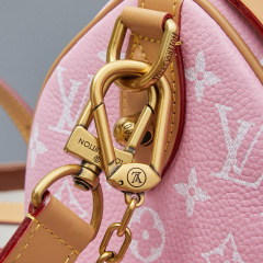LV Speedy P9 Bandoulière 25 Handbag