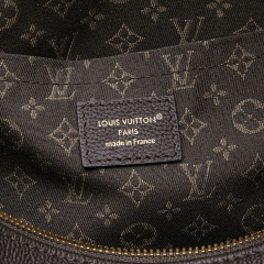 LV Express MM Bag
