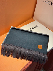 LOEWE Gradient Scarf