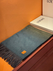 LOEWE Gradient Scarf