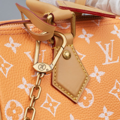 LV Speedy P9 Bandoulière 25 Handbag