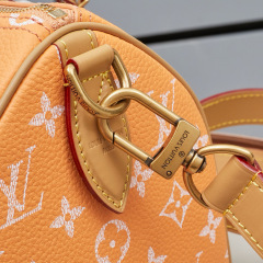 LV Speedy P9 Bandoulière 25 Handbag