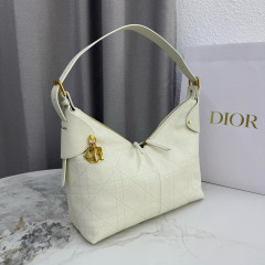 DIOR Voyage Large Bag
